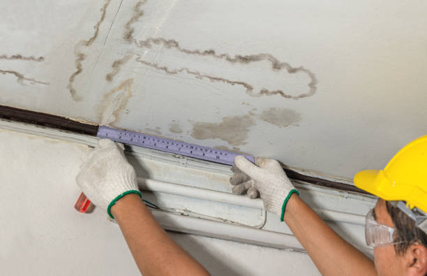 Reliable Burst Pipe Cleanup contractor in Fenton, MO by Water Damage Irwin